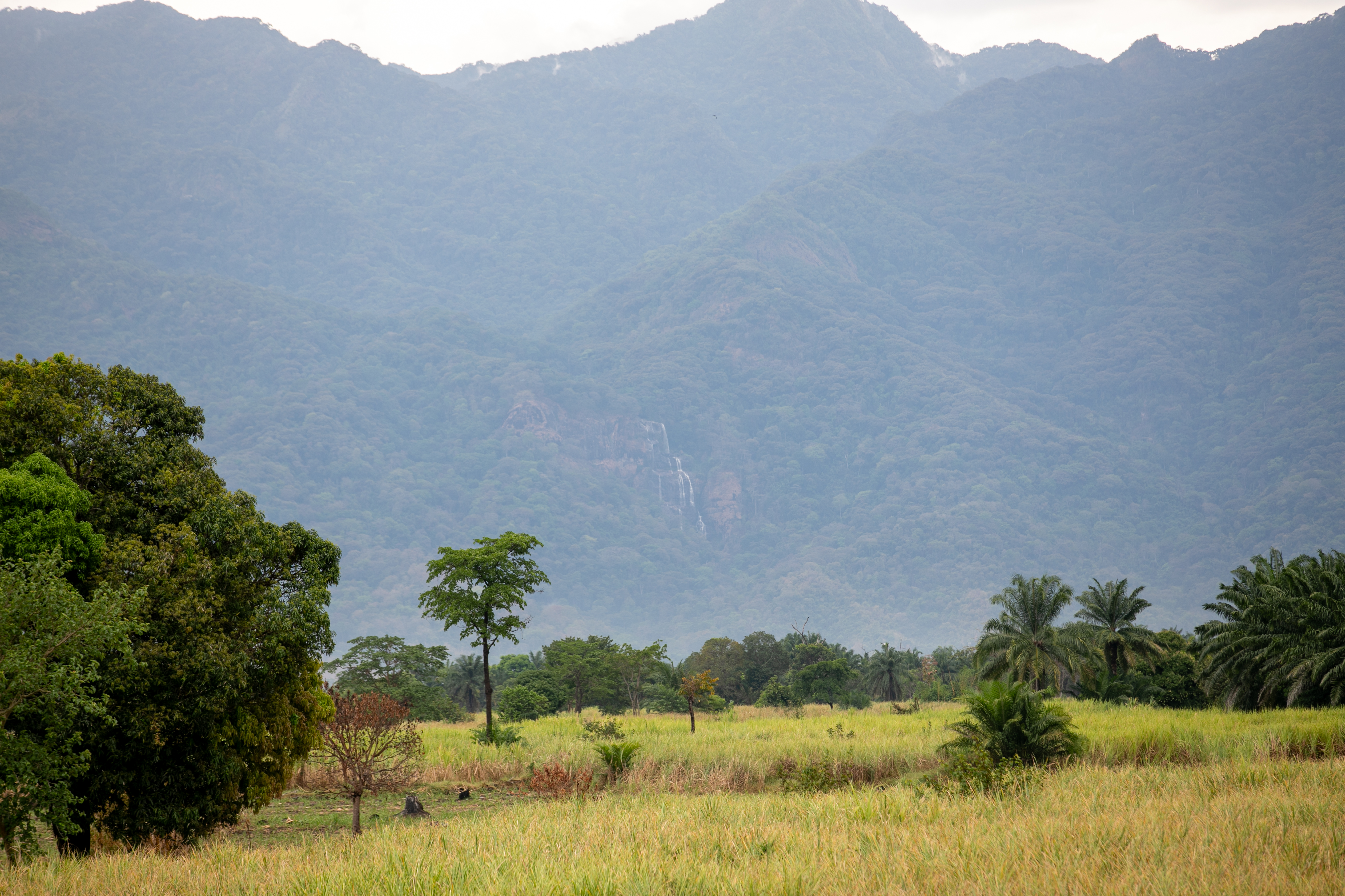 Ifakara, Kilombero Landscape, Tanzania.