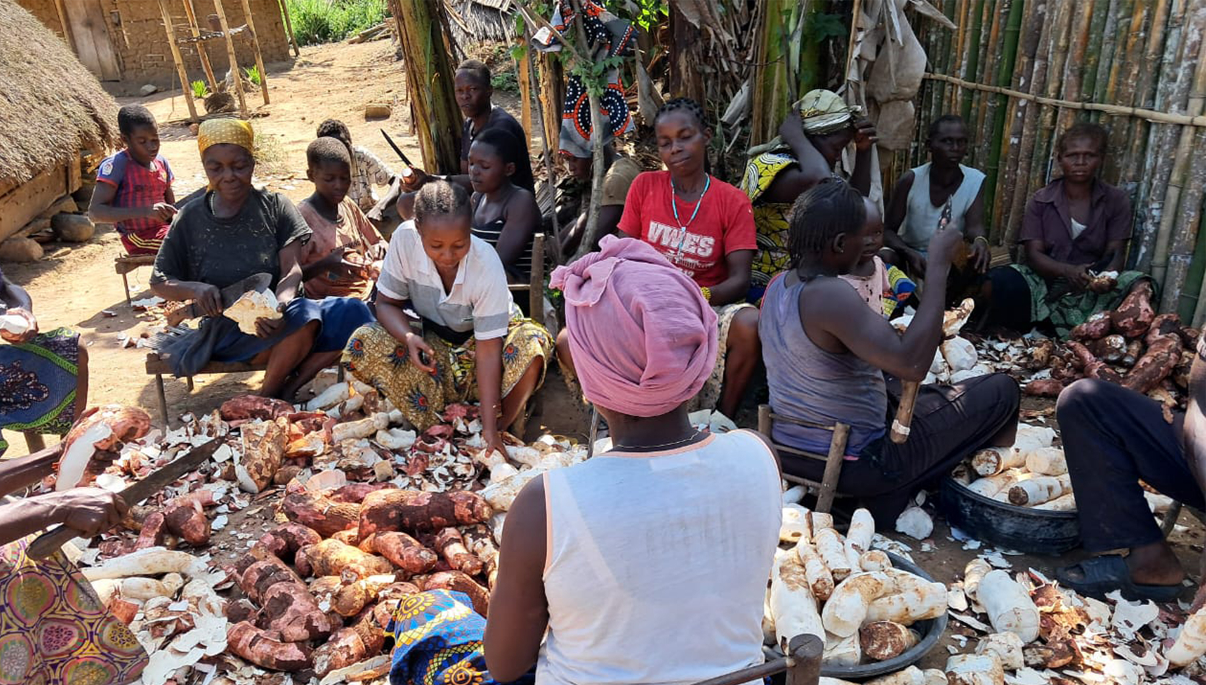 Women working together in the Bili-Uélé landscape, DRC.
