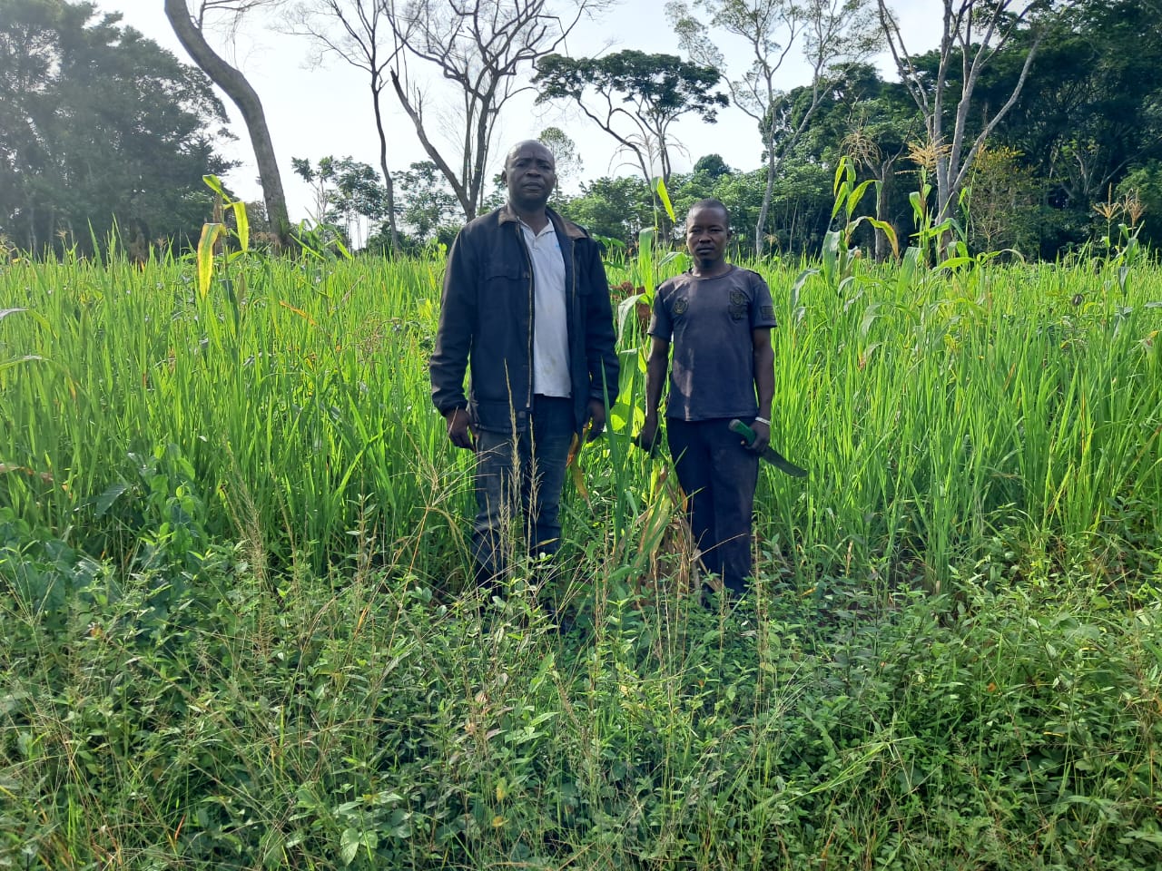 The Bili-Uélé landscape sits in the far north of the DRC.