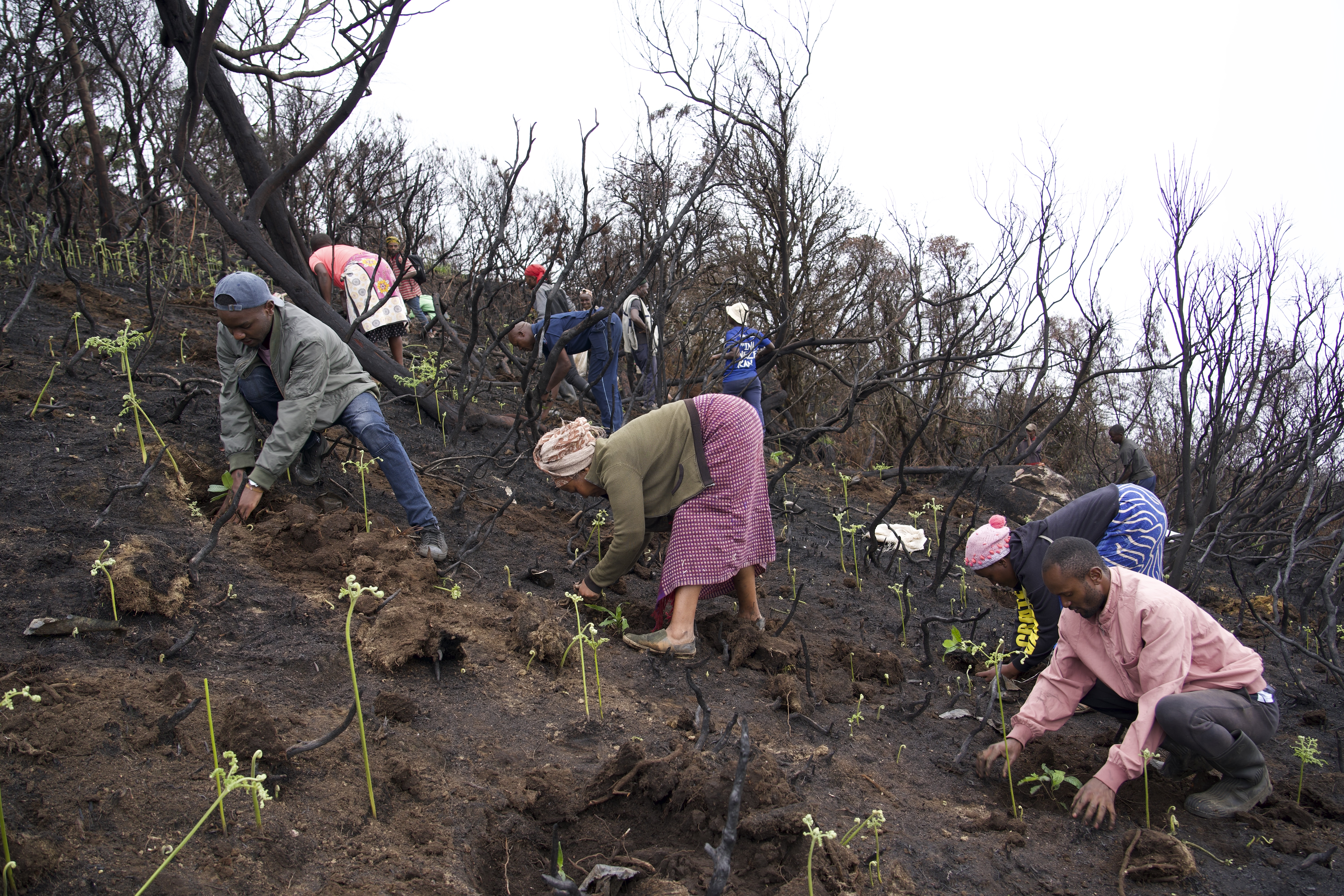 Ernest Maghanga and community members restoring a once-forested area affected by fire.