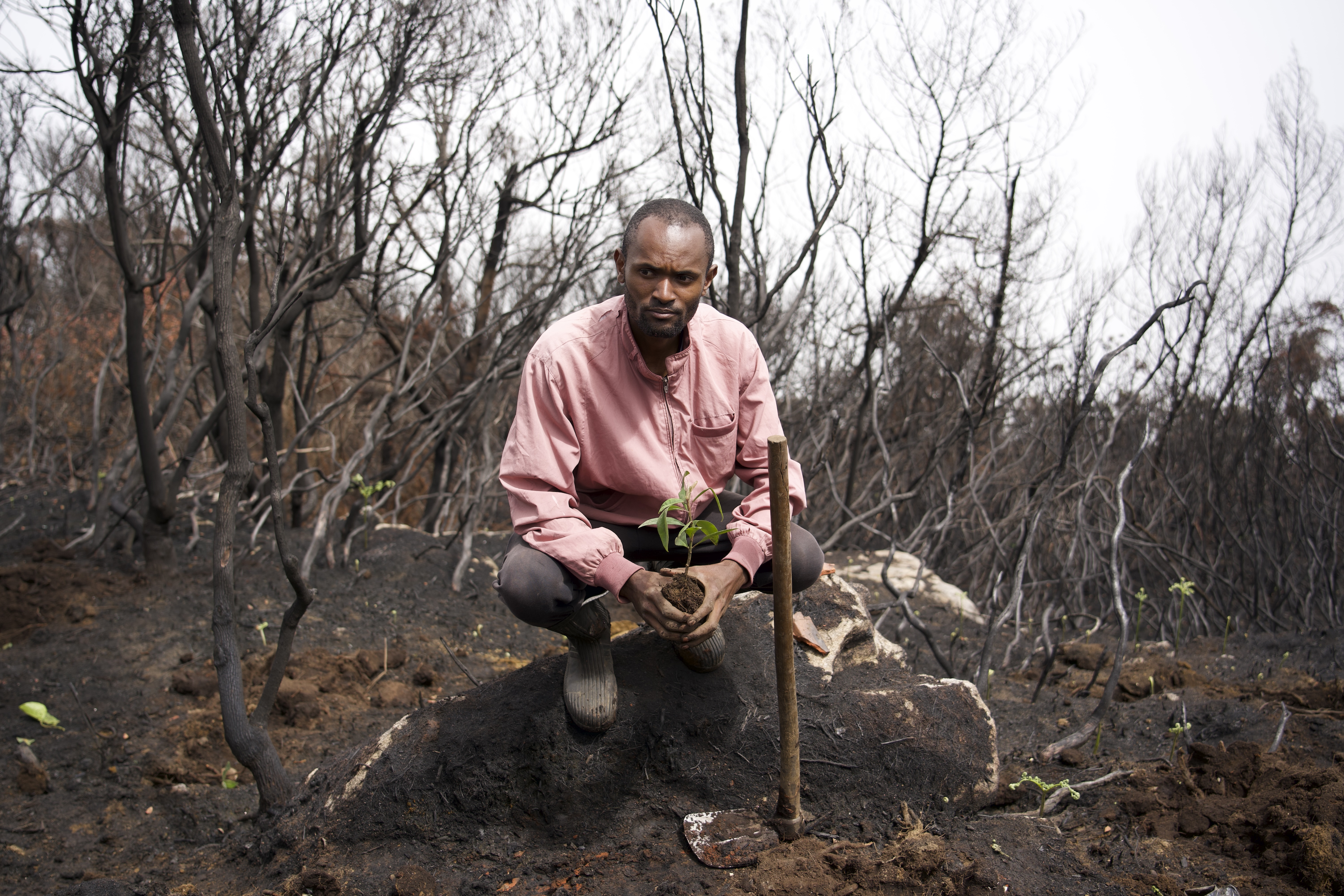 Ernest Maghanga looking at the effects of the forest fire devastation.
