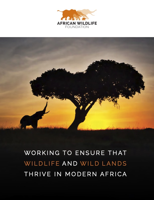 AWF Vision Book cover