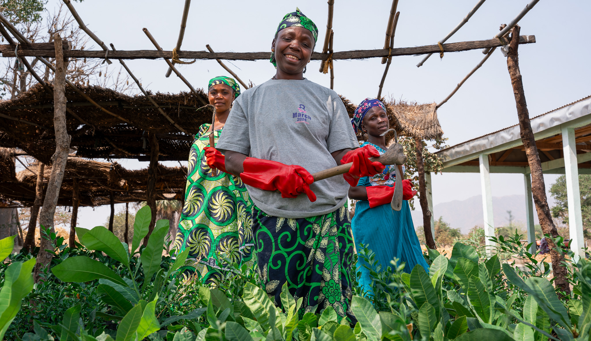 A photo of women farmers in Cameroon