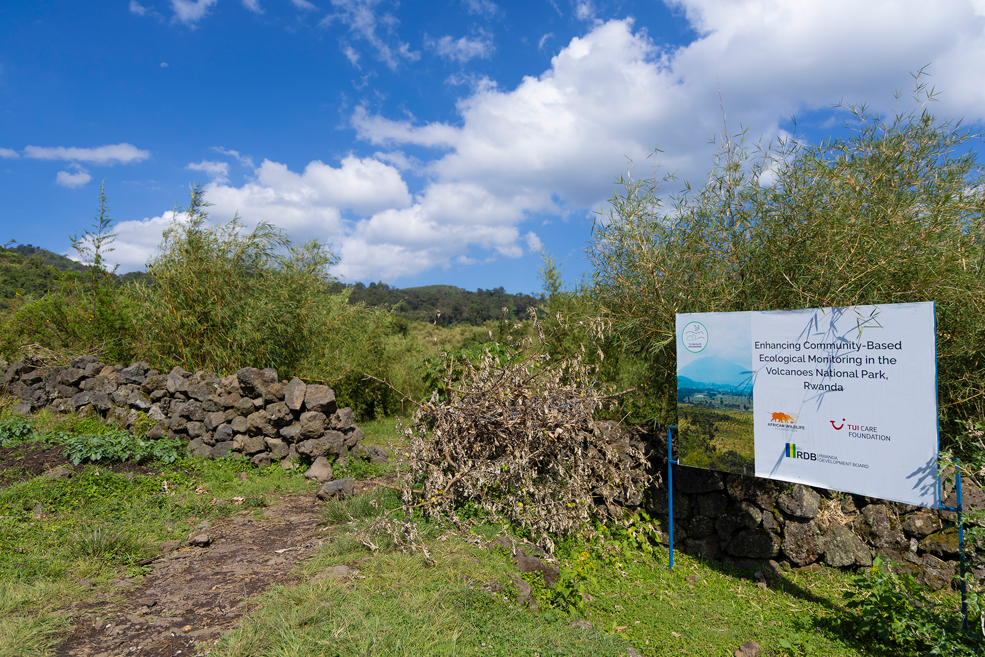 Project signage installed within the Volcanoes National Park landscape, marking ongoing conservation efforts in the area.