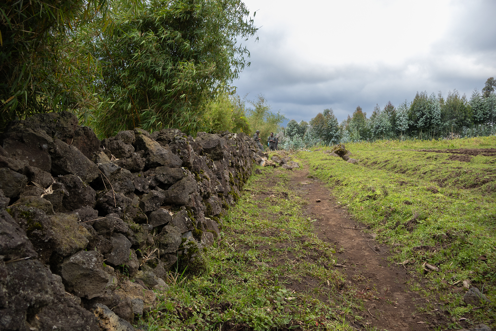 The boundary wall of Volcanoes National Park, marking and protecting one of Rwanda’s most vital conservation landscapes.