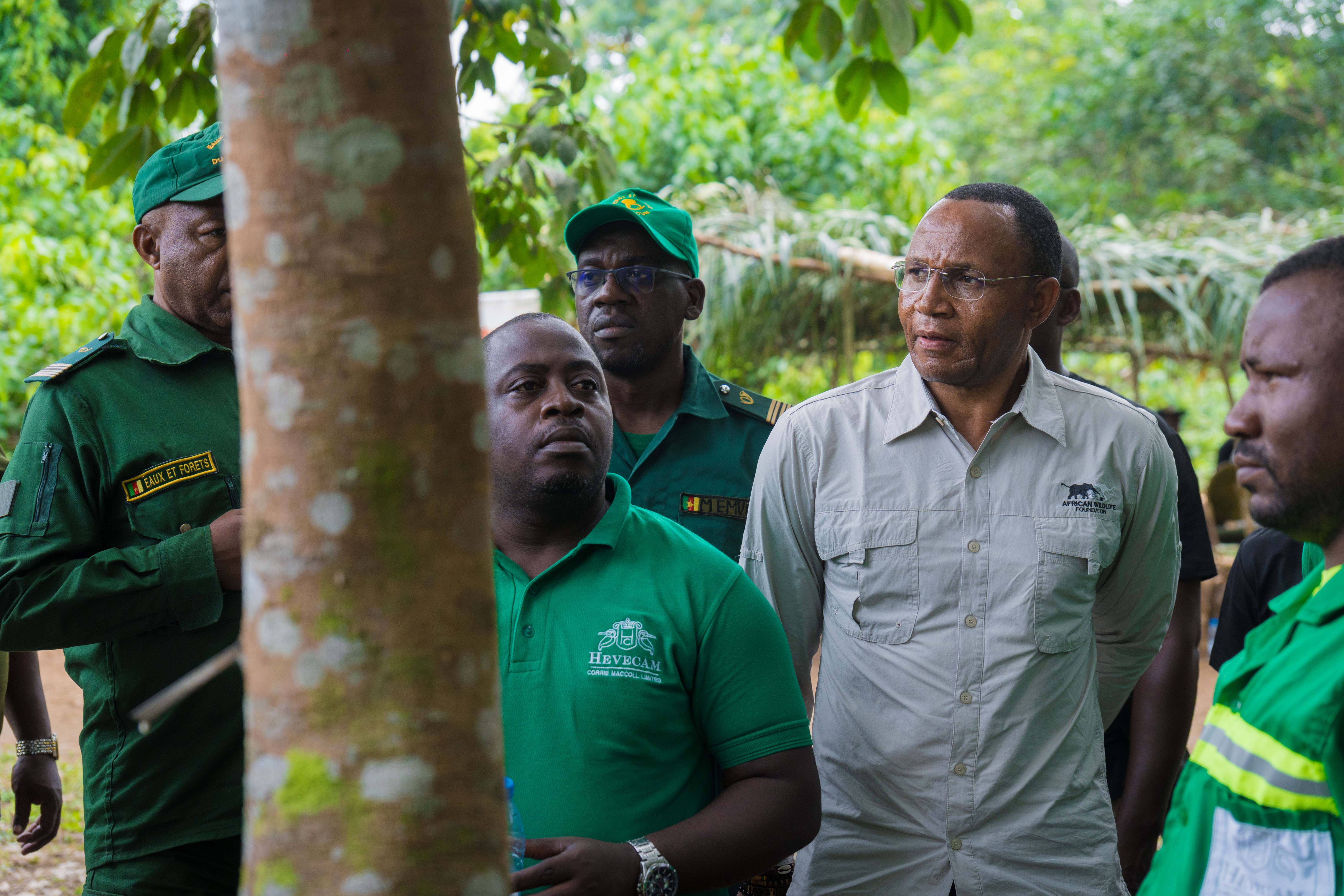 Partnerships that benefit communities are a sustainable way to protect forests like Campo Ma’an.