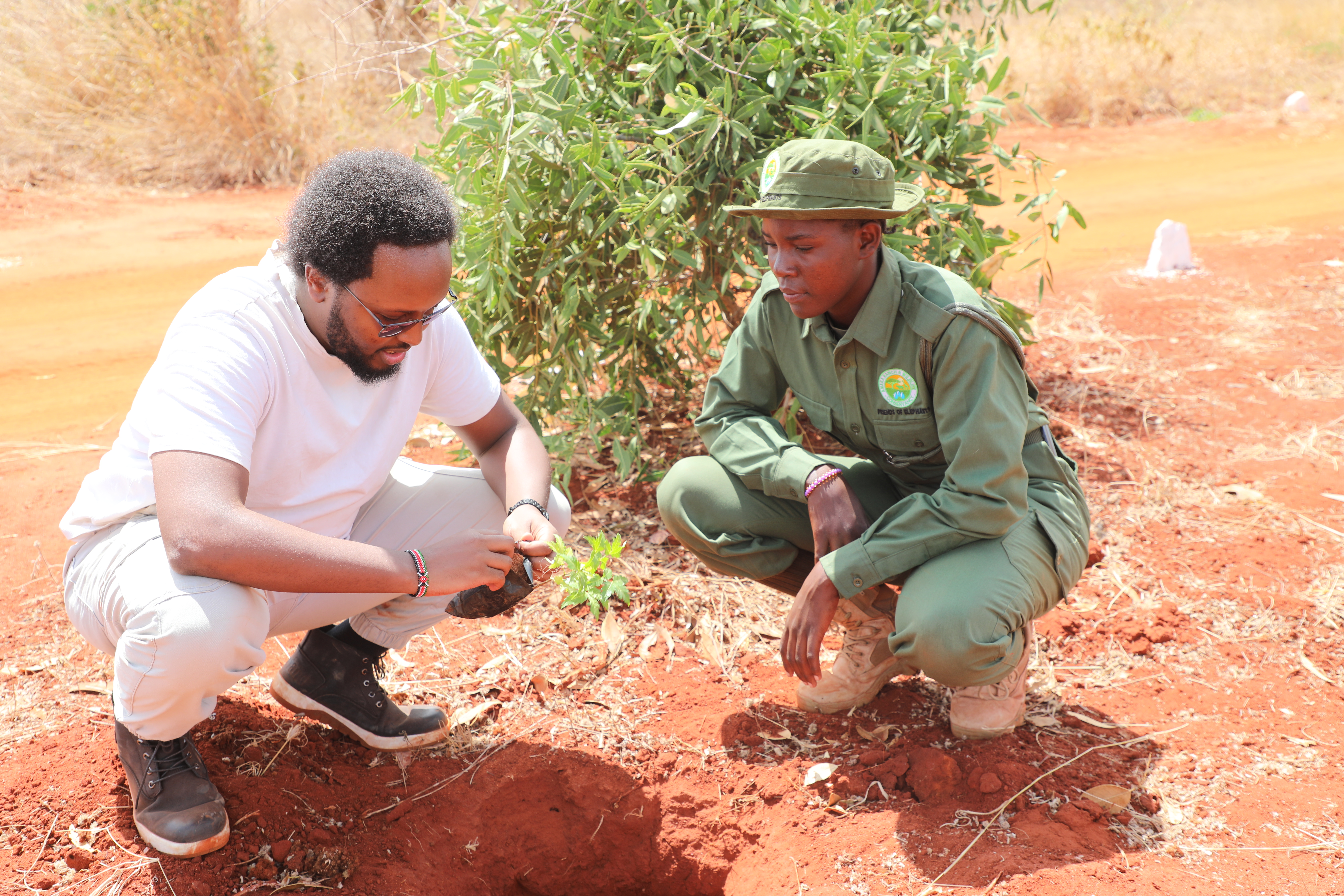 Isaac Mureithi plants a tree with a ranger in Kasigau, Taita Taveta County during a World Ranger Day activity. 