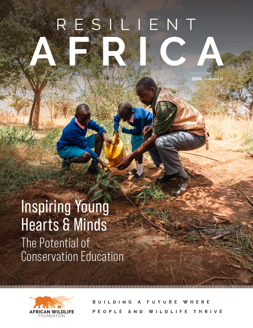 Students planting trees during the Youth Conservation Heroes mobile van visit in Tsavo, Kenya.