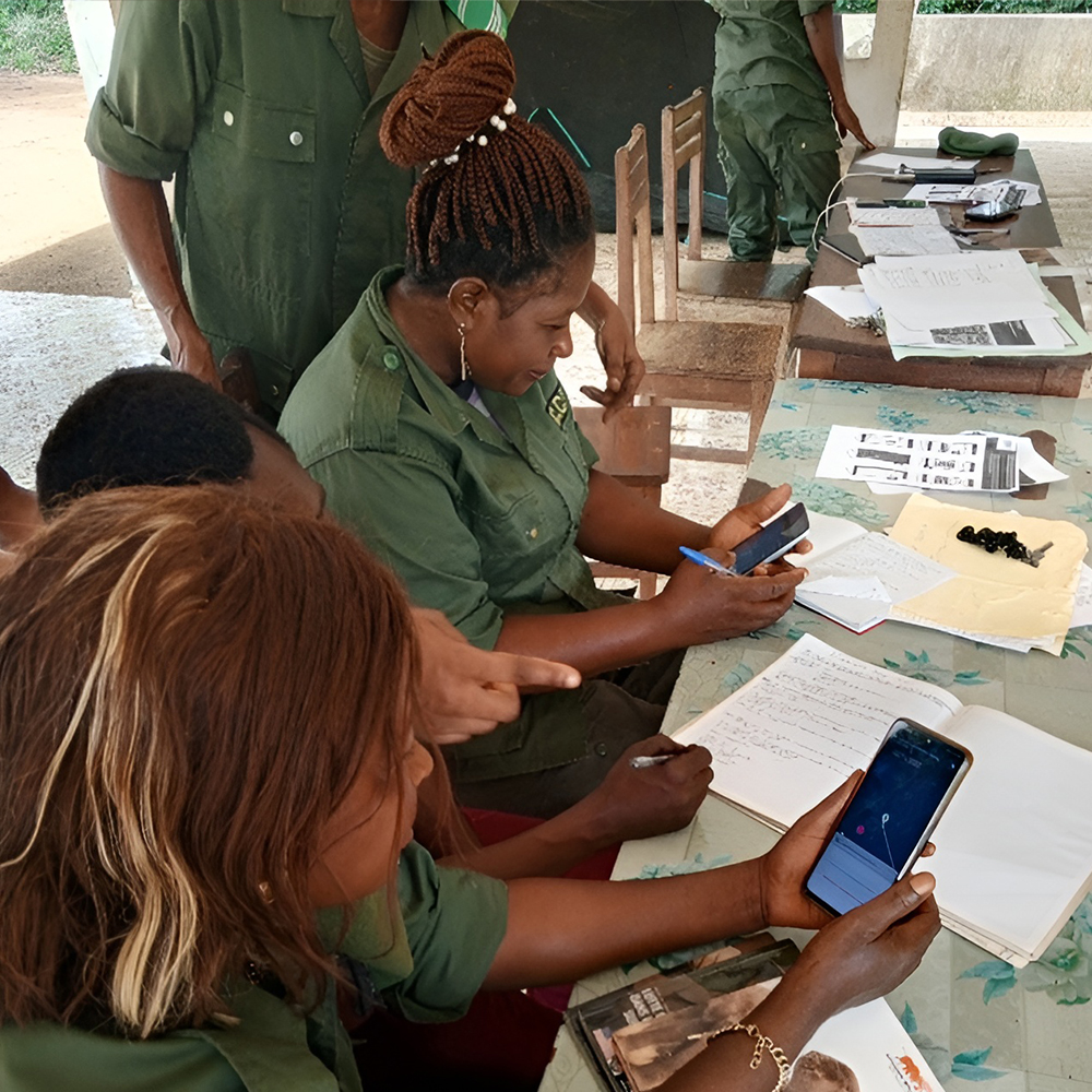 Training of eco-guards on the use of the Global Forest Watch application at the Lomako-Yokokala Faunal Reserve.