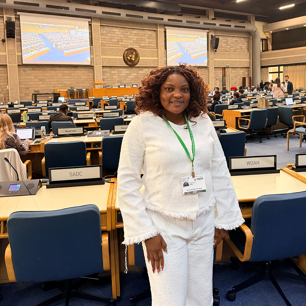 Manda Nfor at the United Nations Office at Nairobi attending her first biodiversity policy meeting.