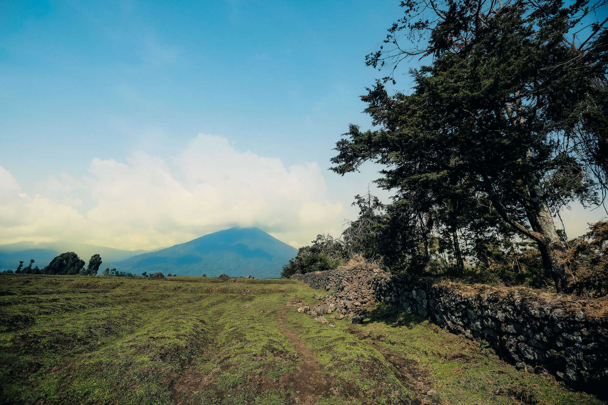 Volcanoes National Park in Musanze, Rwanda