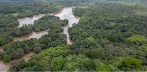 Aerial view of Tiwai Island Wildlife Sanctuary rainforest, part of the Gola-Tiwai UNESCO World Heritage Site.