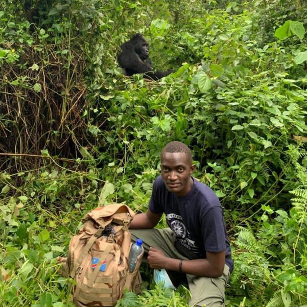 Alain Mukiranya during a gorilla monitoring session in Maiko National Park, Democratic Republic of Congo. 