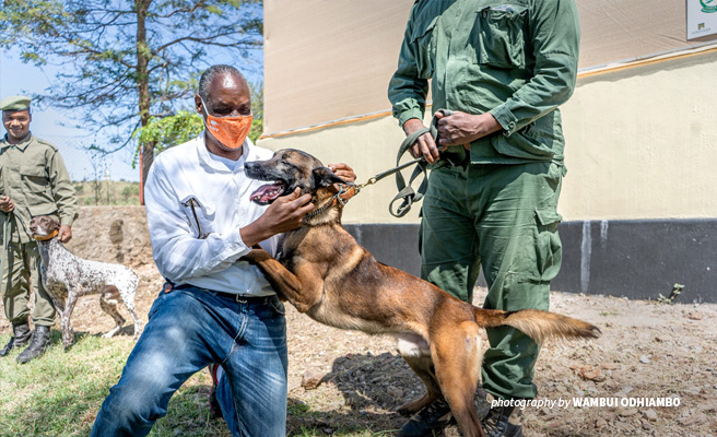 Photo of AWF CEO Kaddu Sebunya with canine handler and tracker dog at TANAPA dog unit