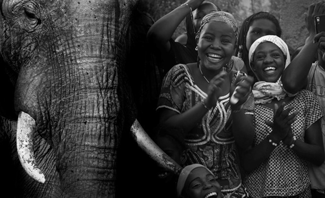 Composite photo of African elephant and young children smiling