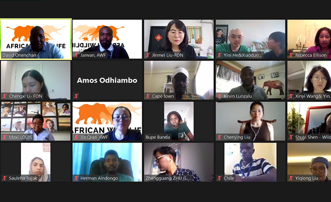 China-Africa Youth Dialogue webinar screenshot