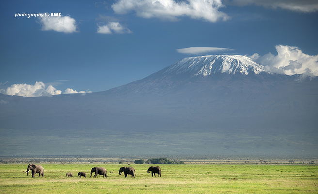 AWF Protected Area Directors Meeting