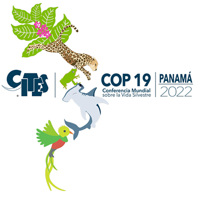 Cop 19