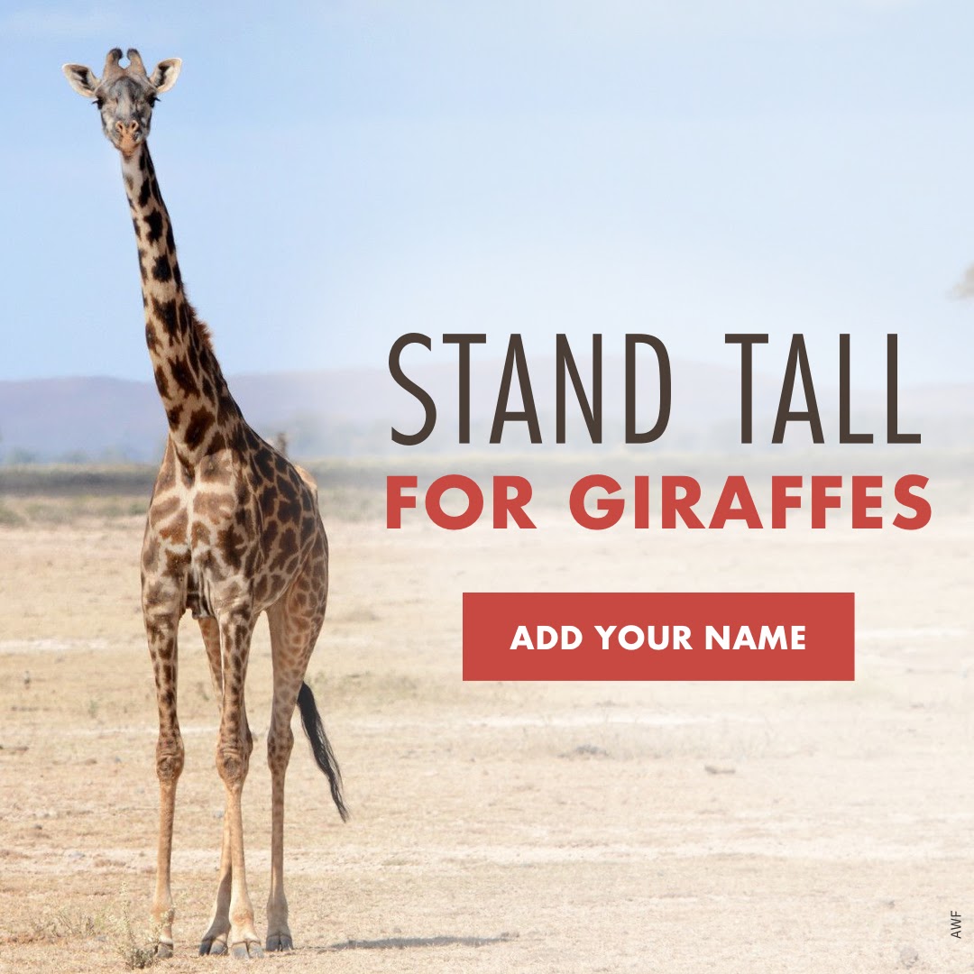 Stand tall for giraffes. Add your name.