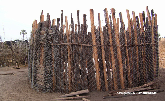 Photo of a fortified boma to protect livestock from lion attacks