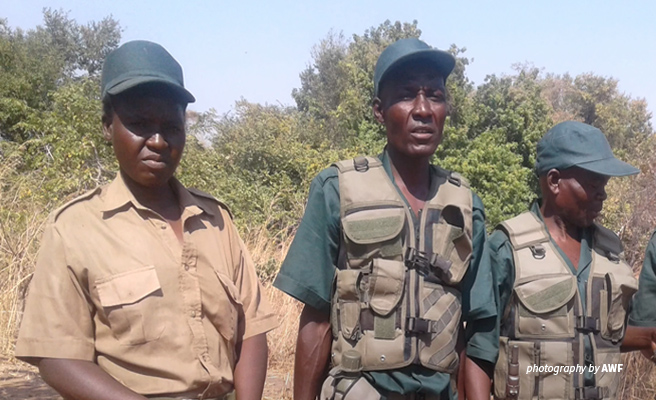Mbire community wildlife scout Mavis Mhako during training