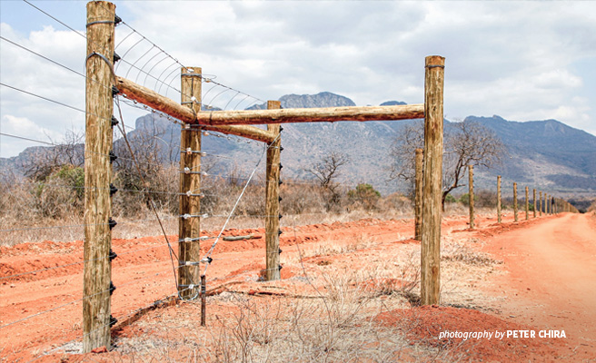 AWF-constructed security fence at Ngulia Rhino Sanctuary