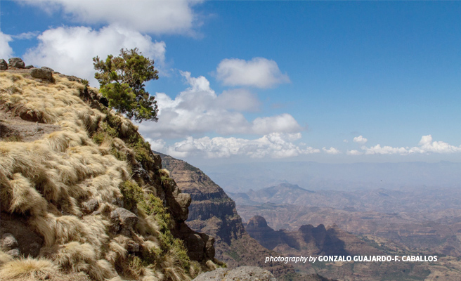 Simien Mountains National Park landscape