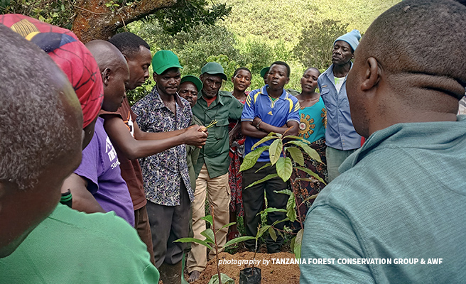 Kilombero farmers planting trees