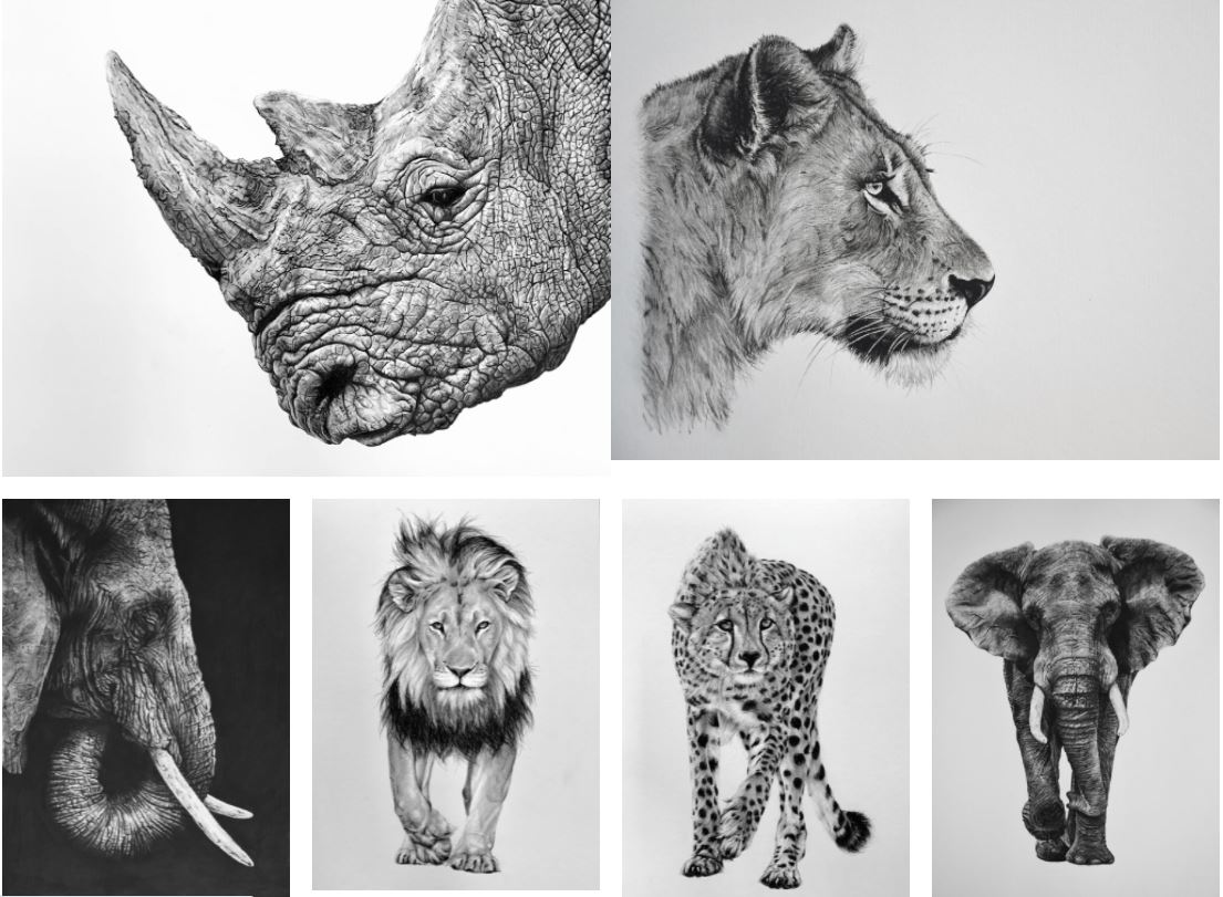 Wildlife artwork by Violet Astor