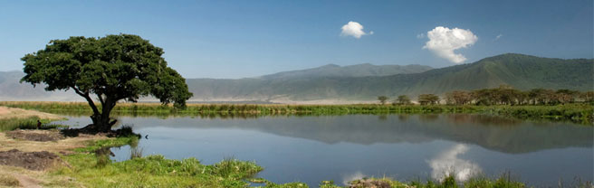 Africa&#039;s wild lands