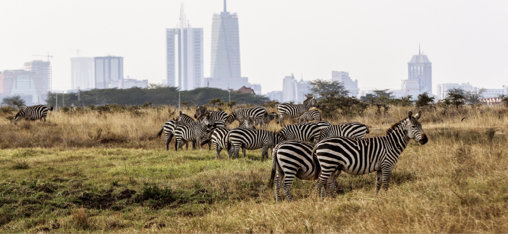 Nairobi National Park