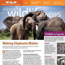 Publication cover.