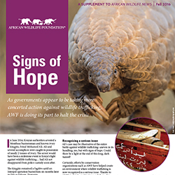 Publication cover.