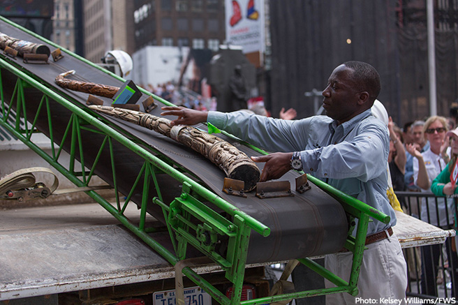 AWF&#039;s Jimmiel Mandima Feeds a Piece of Ivory onto the Crusher&#039;s Conveyor Belt