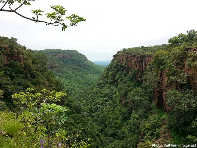 Senegal&#039;s Dindefelo Valley