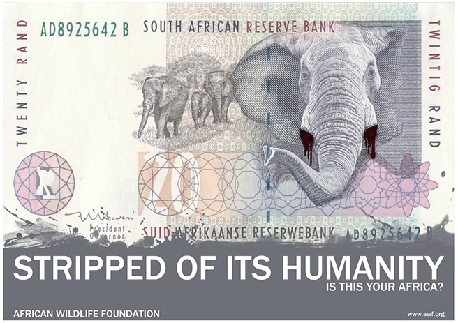 The South African R20 note manipulated to show a poached elephant