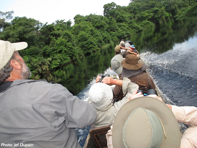 Bird enthusiasts in Lomako, enjoying a unique experience tracking the Congo peafowl