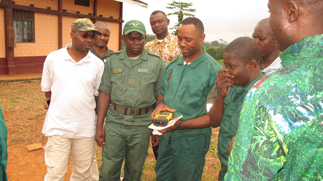 Wildlife rangers in Cameroon use cyber tracker technology to detect poaching activity and monitor species. Photo by Jef Dupain