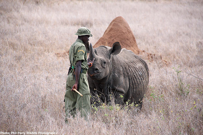 Protecting the Protectors of Africa’s World Heritage