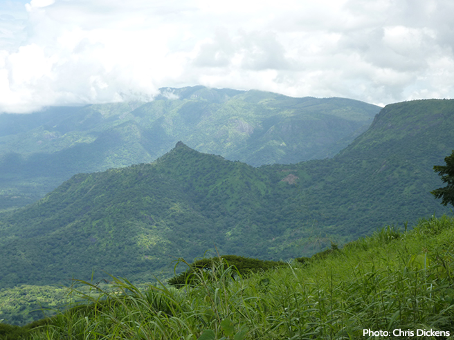 South Sudan&#039;s Imatong Mountains, a critical source of water and biodiversity.