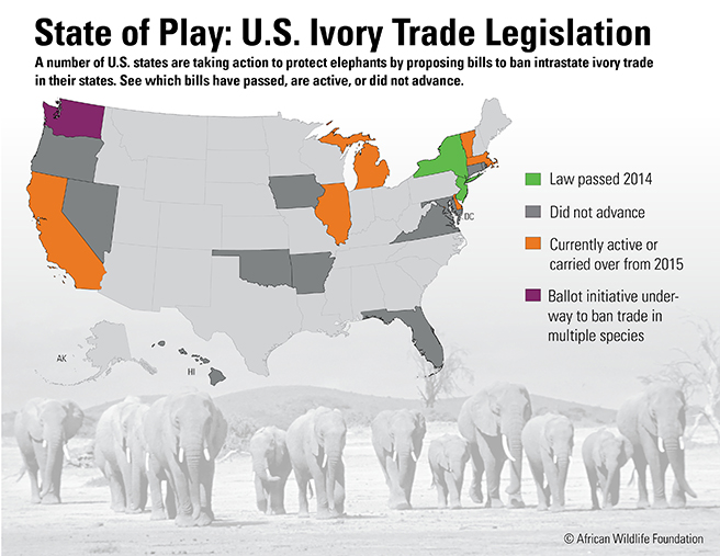 State of Play: U.S. Ivory Trade Legislation