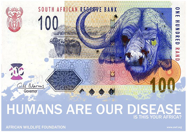 The South African R100 note manipulated to show a poached buffalo