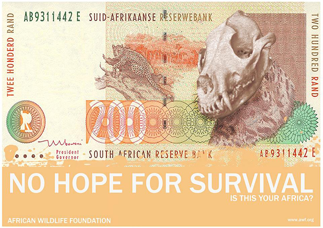 The South African R200 (Leopard) The Leopard is a skeleton, this is due to hunters/poachers killing them for their fur. By: India Hambloch