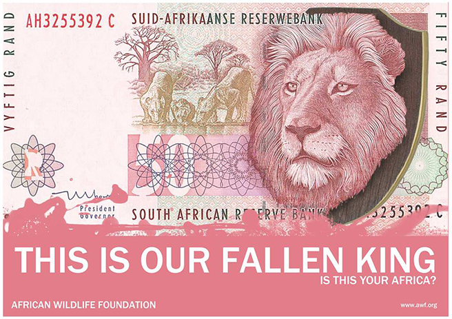 The South African R50 (Lion) The Lion’s head has been placed on a Hunting wall mount, due to humans trophy hunting lions as a bravery task.  By: India Hambloch