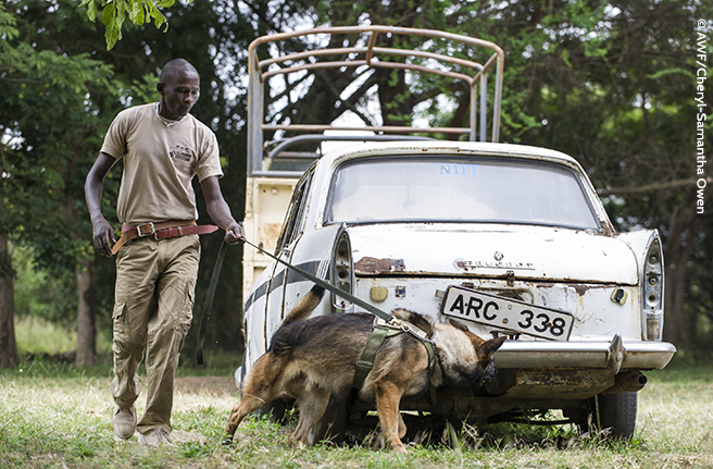 K9 Conservation Programme Demonstration