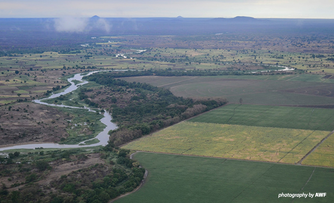 Wildlife and humans alike depend on ecosystems for survival