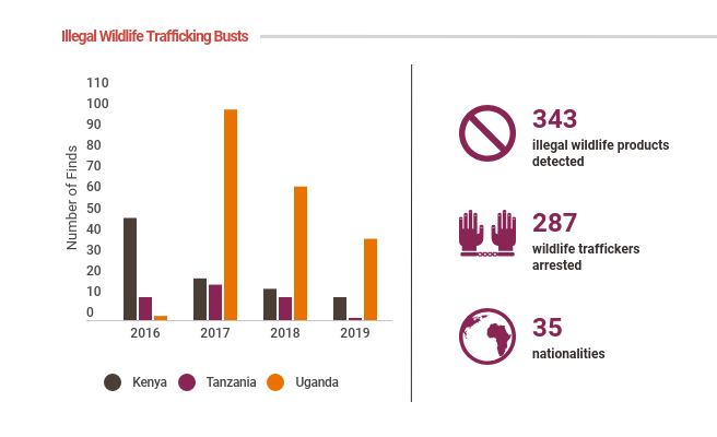 Infographic showing the decline in illegal wildlife trafficking busts by canine units at trafficking hotspots