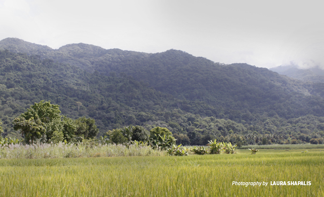Fertile land in the Kilombero Cluster attracts large concentrations of people and livestock Photo of farmland in Southern Tanzania highlands