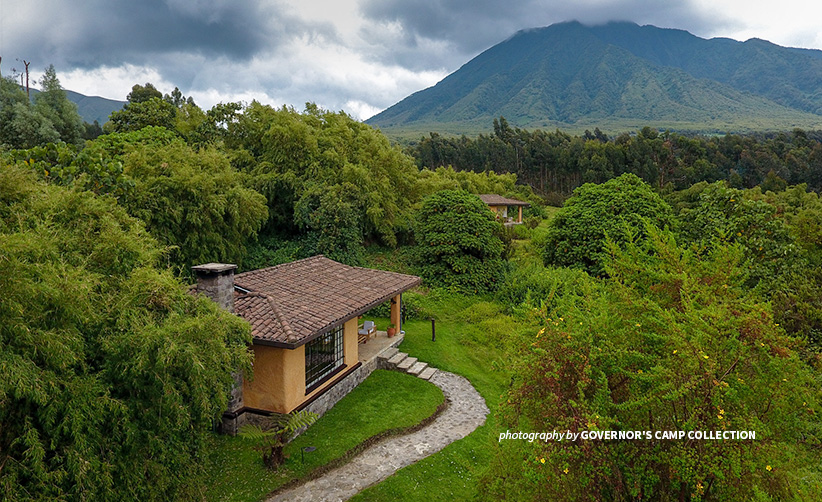 This Mountain Gorilla Lodge Is Saving Rwanda S Great Apes African Wildlife Foundation