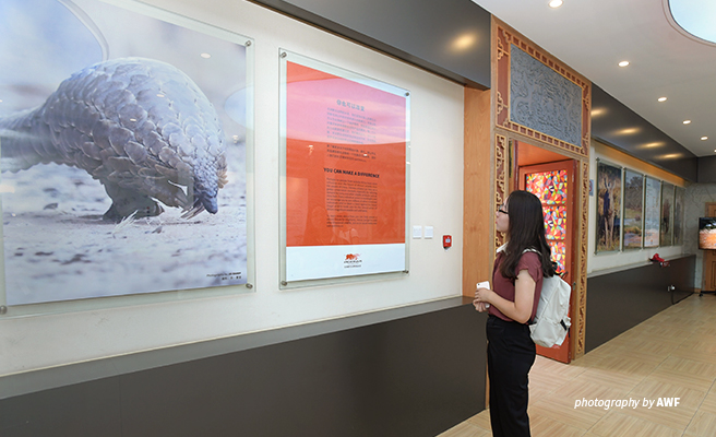 Photo of visitor at AWF wildlife exhibition at Beijing Zoo